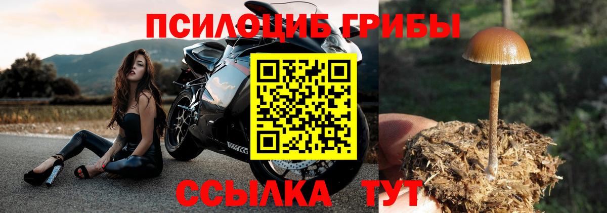 Псилоцибиновые грибы MAGIC MUSHROOMS Уварово